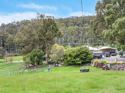 42 Autumn Road, Cradoc