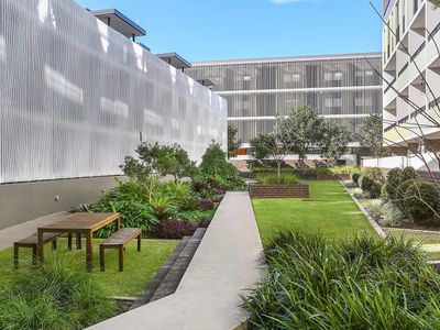 97 / 207 Barker Street, Randwick
