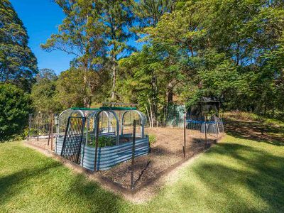 1117 Tuntable Creek Road, Nimbin