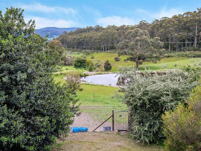 42 Autumn Road, Cradoc