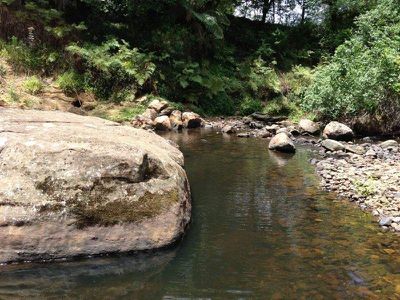 781 Upper Kangaroo River Rd, Kangaroo Valley