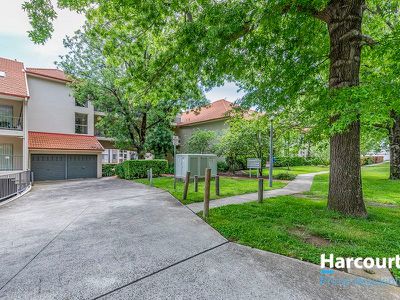 141 / 81 Kennedy Street, Kingston