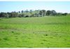 346 Avoca Road, Stuart Town