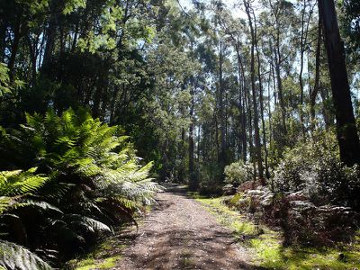 Palmers Road, Oyster Cove