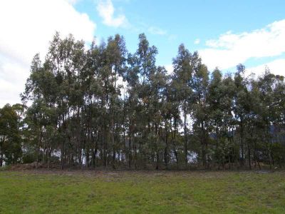 Lot 3, 3 / 270 Cygnet Coast Road, Lymington