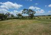 148 Back Saleyards Road, Molong