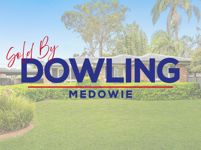 29 Tea Tree Drive, Medowie