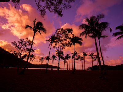 11 Discovery Drive, Flametree