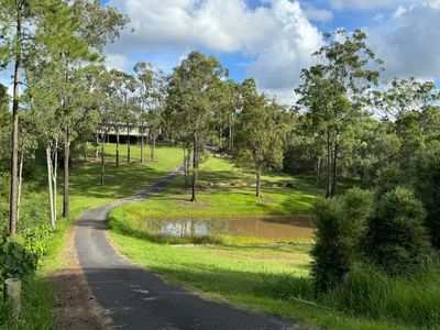 228 Meyricks Road, Glass House Mountains