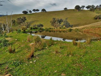 The Block - Packers Road, Bethanga