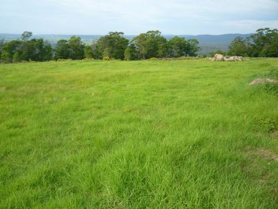 3 Graydons Pointer Road, Milton