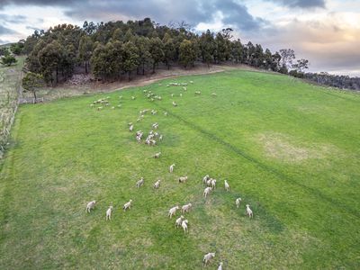 'Glen Avon' 45 Eddington Road, Bagdad