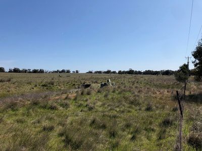 Lot 1, 4000 Korong Vale-Wychitella Road, Woolshed Flat