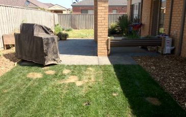 1 Laburnum Street, Berwick