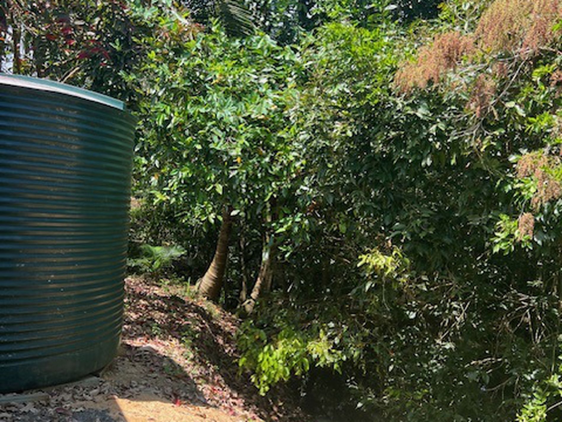 264 NEWMAN ROAD, Sandy Pocket