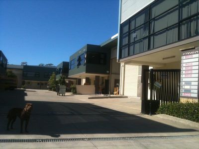 354 Chisholm Rd, Auburn