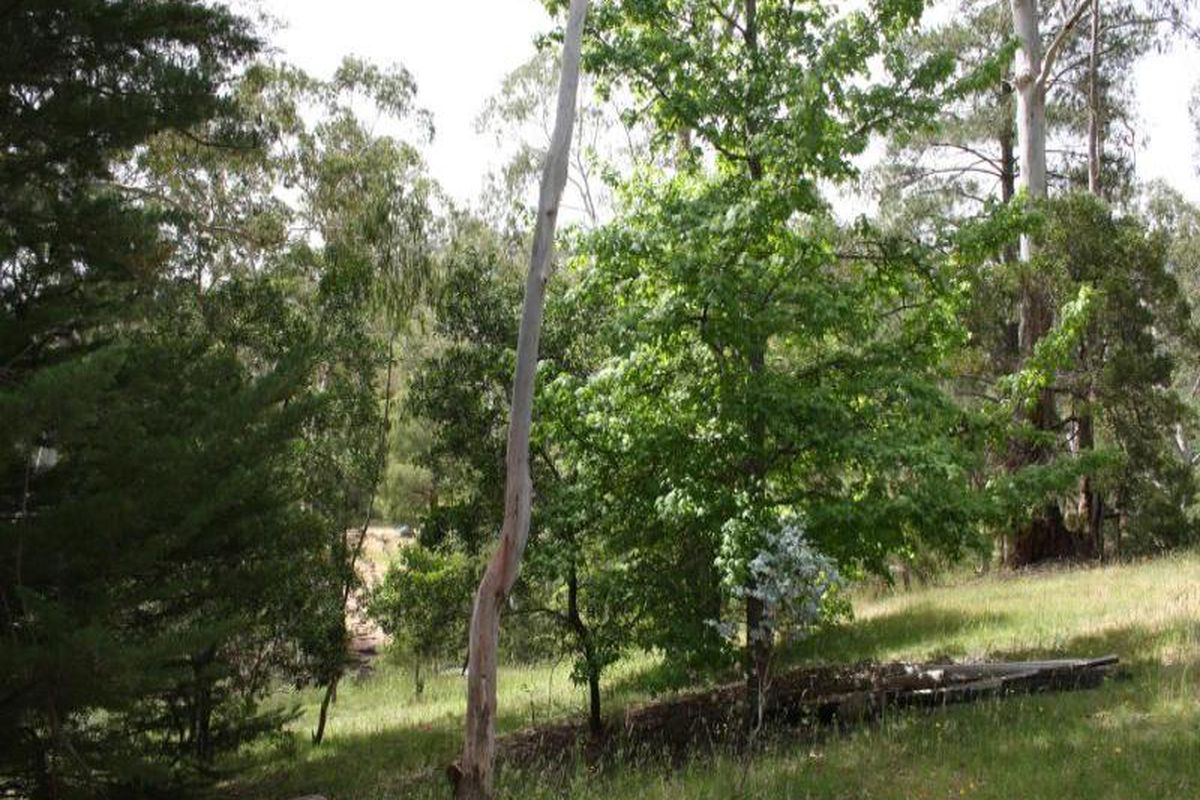 107 Martin Street, Howqua Hills