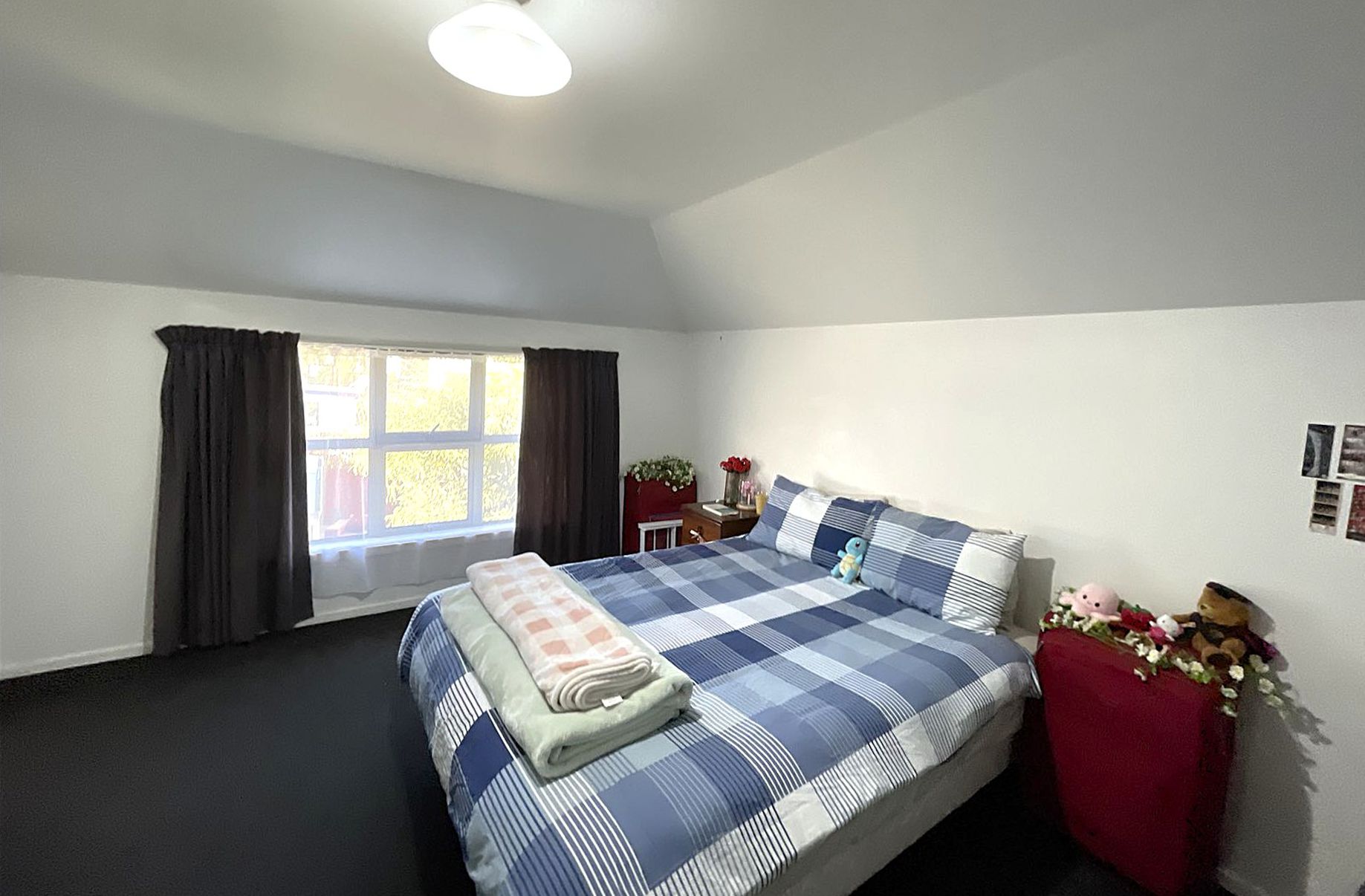 2D Saint David Street, North Dunedin