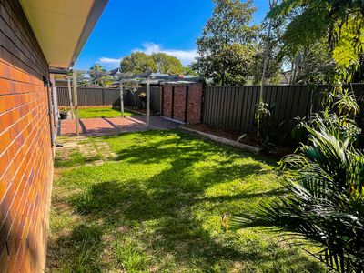 2 Avocado Court, Mullumbimby