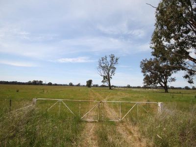 Federation Way, Wangaratta