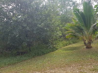 Lot 72 Palmer Road, Cooktown