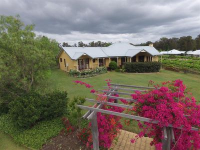 Lot 50, 2 Oakey Creek Rd, Pokolbin