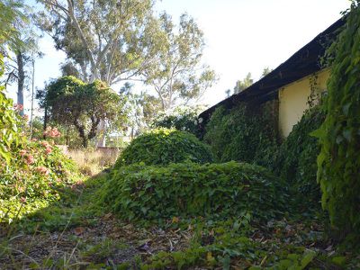 27 Traine Crescent, South Hedland