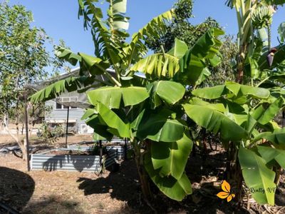 10 Aldridge Street, Southport