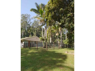 643 Tuntable Creek Road, Tuntable Creek