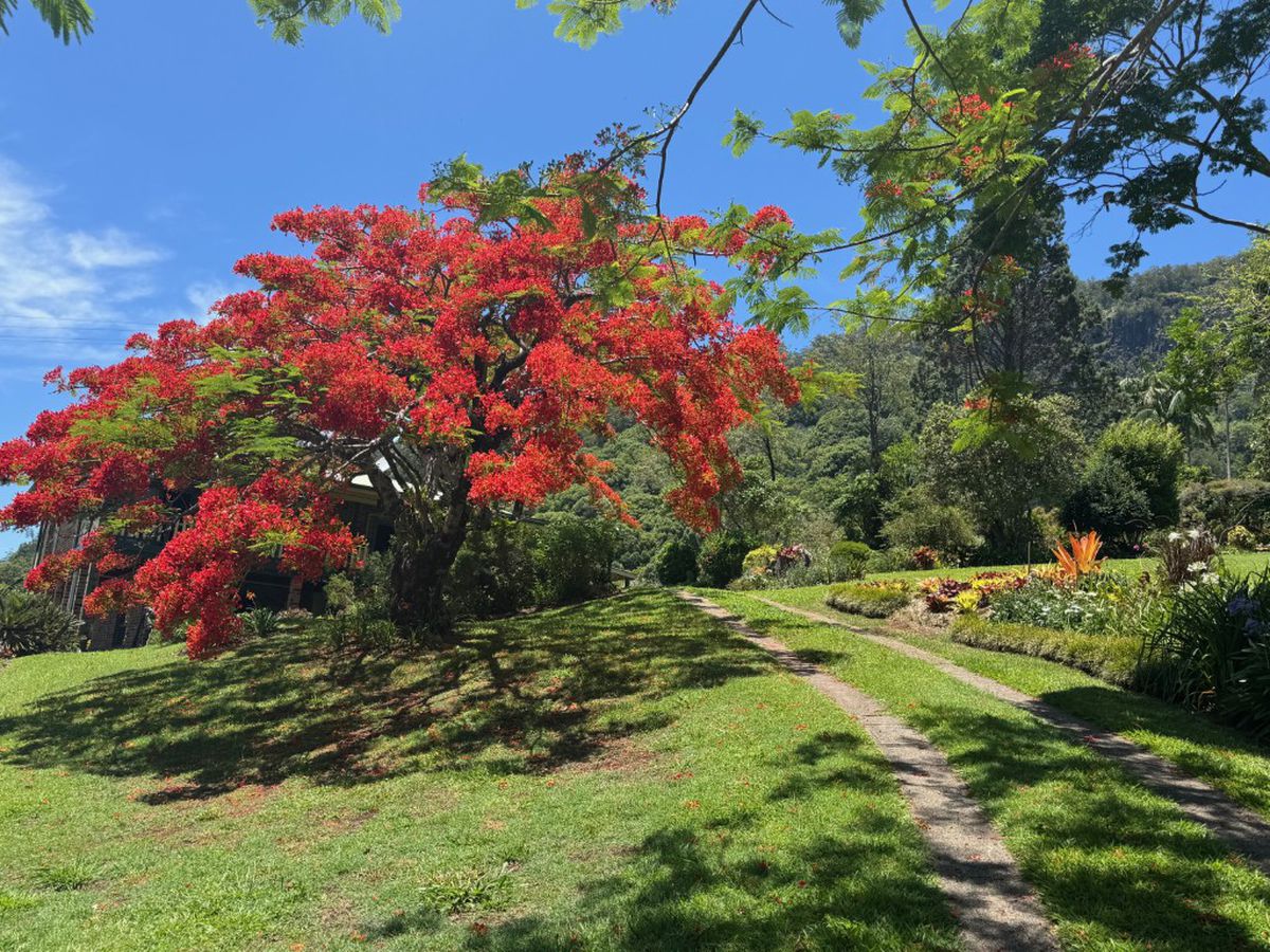 197 Palmwoods Road, Palmwoods