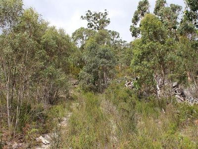 547 She Oak Road, Judbury