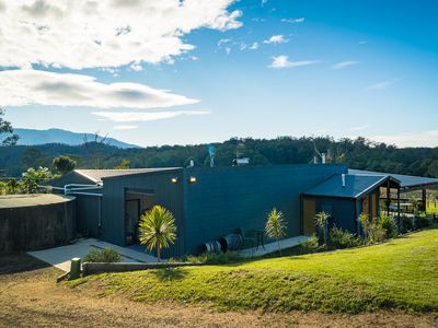 874 Cobargo Bermagui Road, Coolagolite