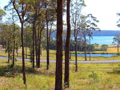 Lot 8 Grenenger Road, Pambula