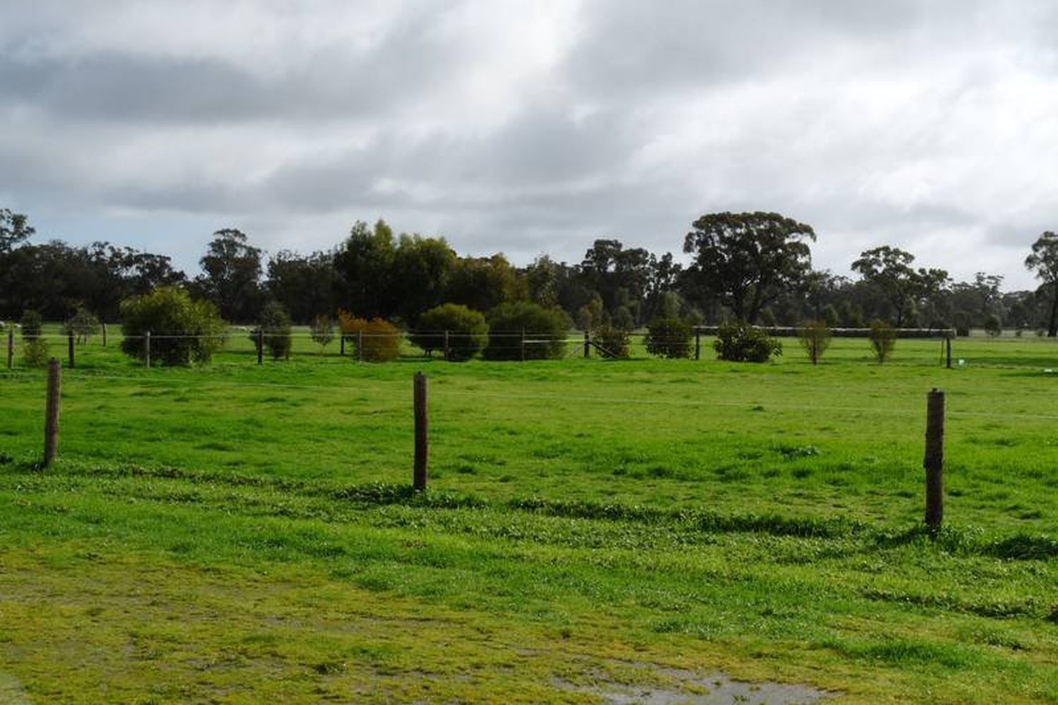 668 Walsh's Road, Horsham