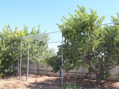 32 ISLAND Road, Koondrook