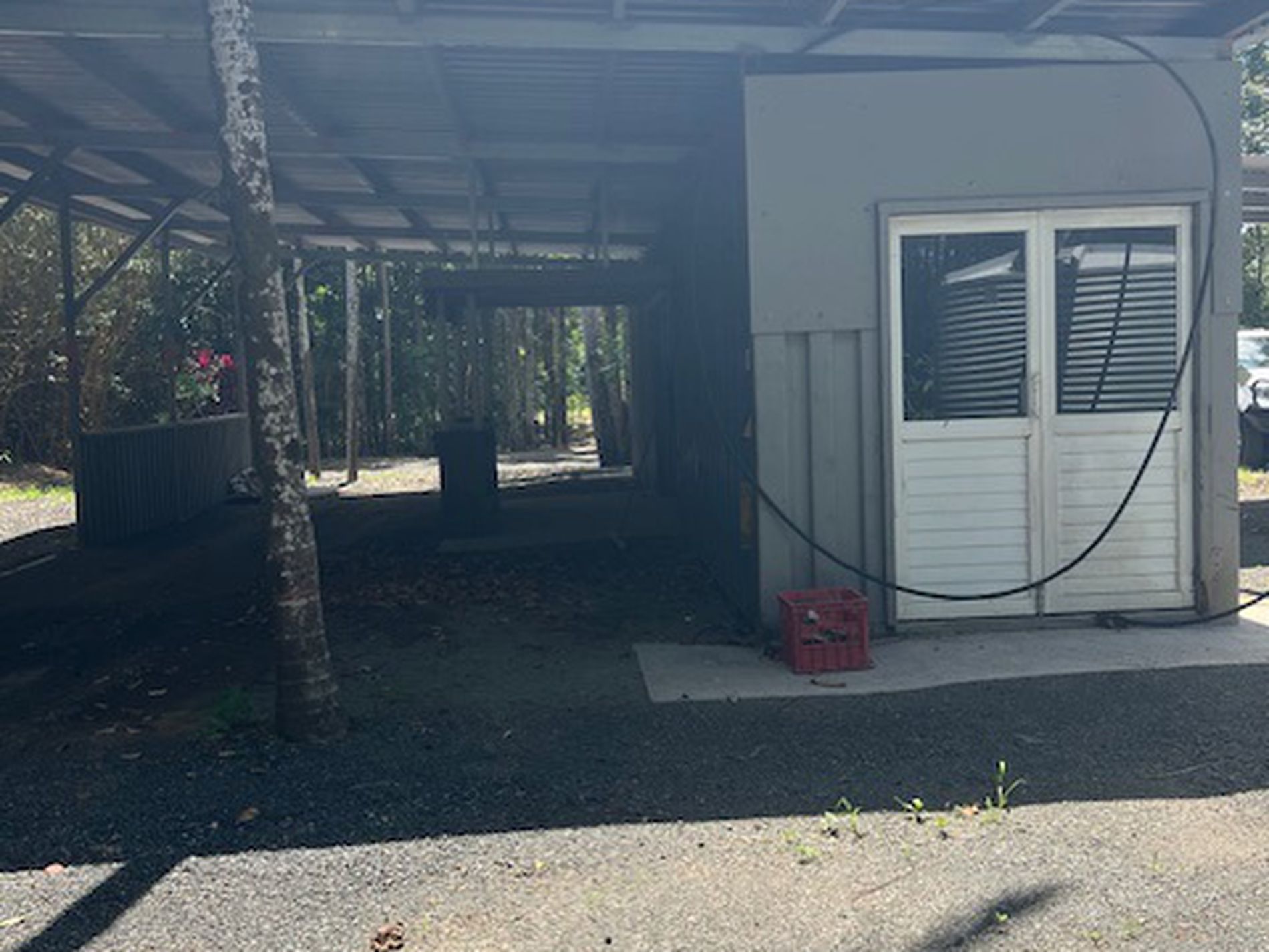 264 NEWMAN ROAD, Sandy Pocket