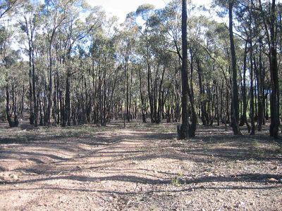 LOT 1 SCHOOLHOUSE LANE, Heathcote
