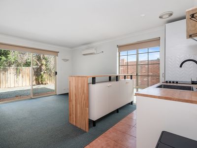 29/4 Ochiltree Street, Somerville