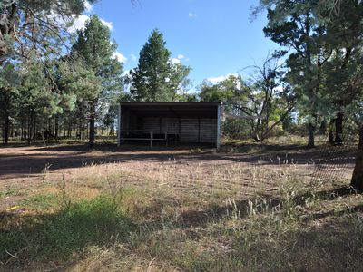 6L Panai Avenue, Dubbo