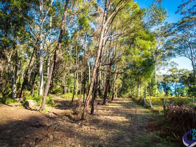 100 Hobbs Point Road, Narooma