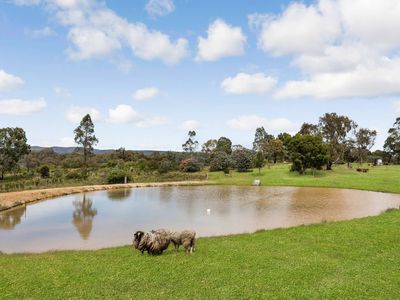 109 Meadows Lane, Heathcote