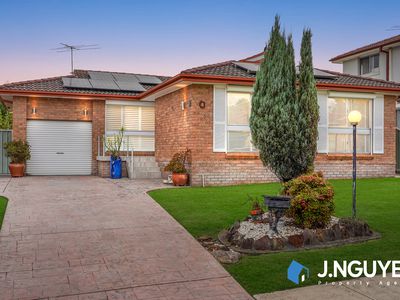 4 Strzelecki Close, Wakeley