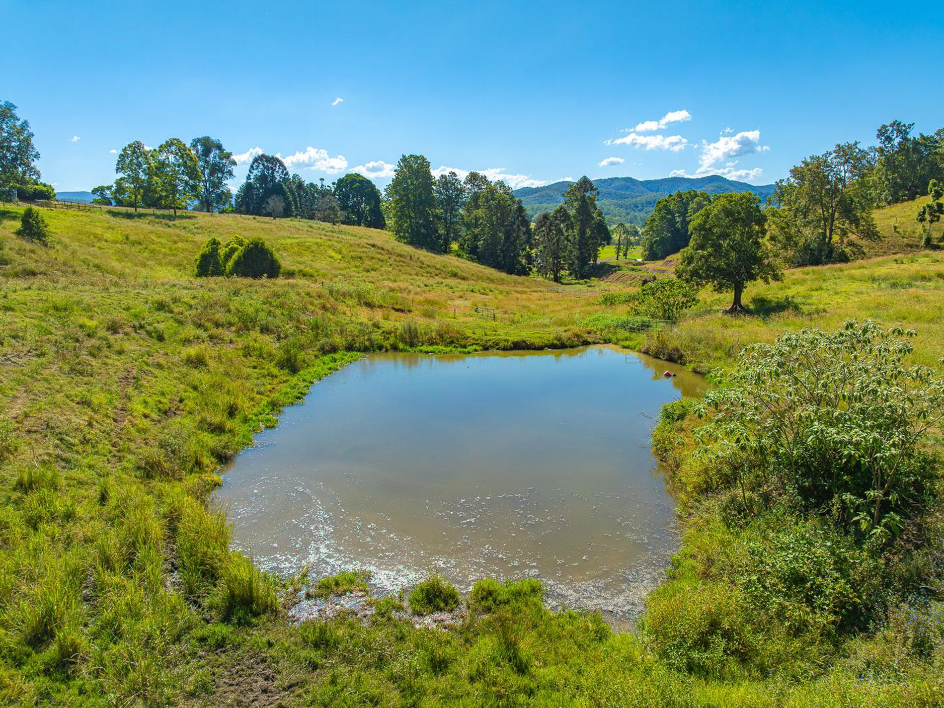 343 Walli Mountain Road, Kenilworth