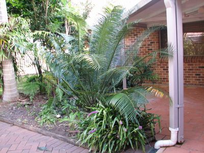 6 Kallaroo Circuit, Ocean Shores
