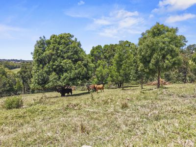 107 Lilyvale Place, Narooma