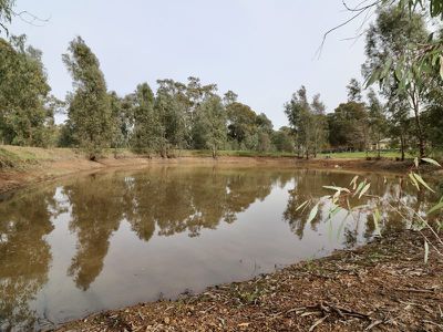 20 East West Hall Lane, Seymour