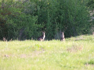 Lot 89  Scenic Drive , Mansfield