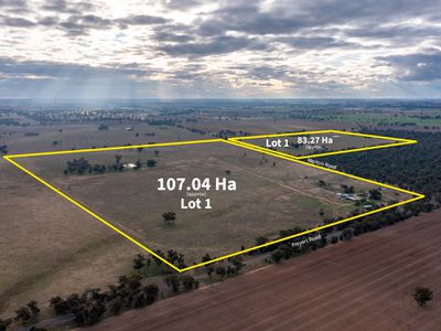 187 Merton Road, Collendina