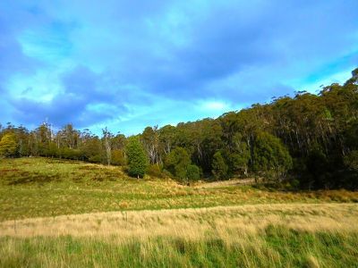 30 Acres Off Abbots Road, Nicholls Rivulet