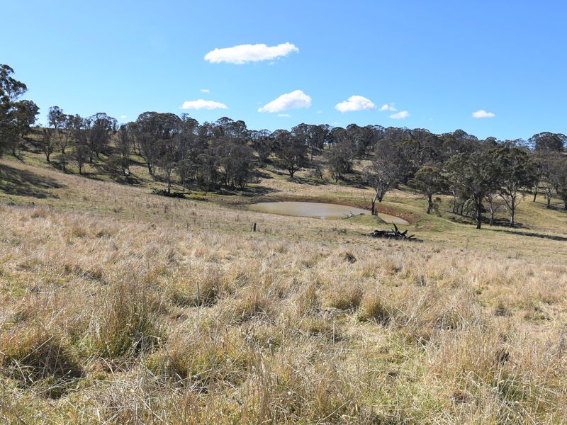 489 Inn Road, Ben Lomond